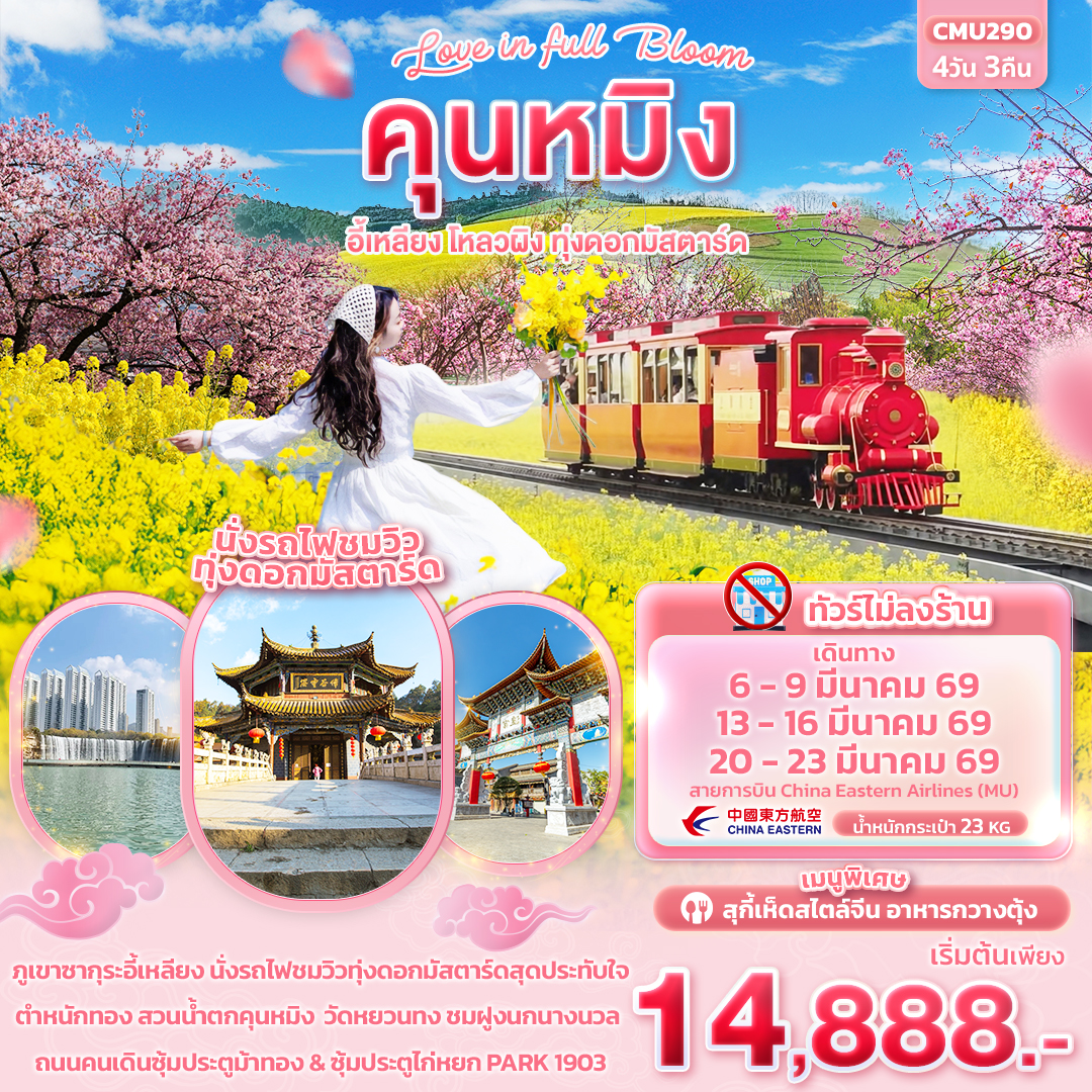 CMU290 Love in Full Bloom คุนหมิง อี้เหลียง โหลวผิง ทุ่งดอกมัสตาร์ด 4วัน 3คืน